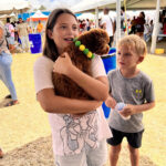 Toy poodles for sale in Barbados